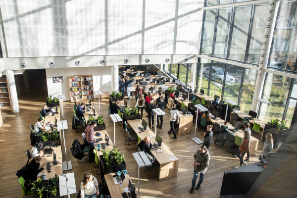 Vytautas Magnus University